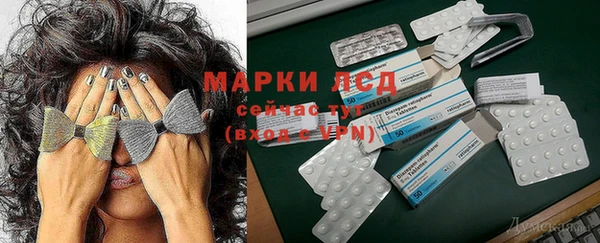 винт Елабуга