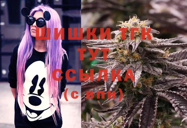 2c-b Ельня