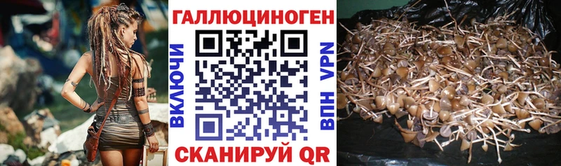Купить закладки  Искитим  Псилоцибиновые грибы MAGIC MUSHROOMS 