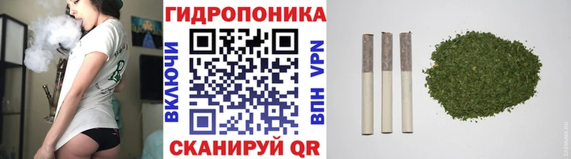 Купить закладки  Искитим  Бошки Шишки планчик 